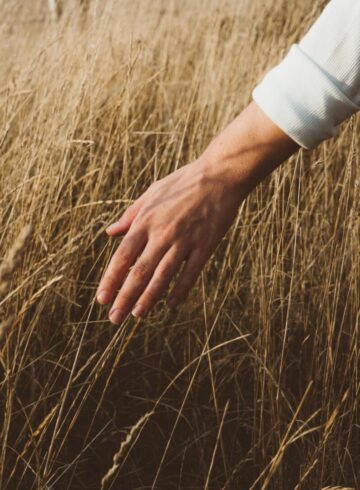 pexels jack redgate 333633 5855539