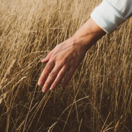 pexels jack redgate 333633 5855539