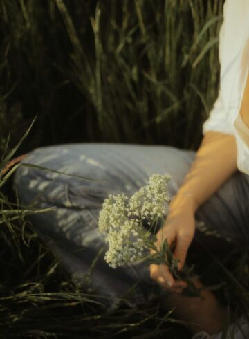 pexels nina fiedler 894772640 24808325