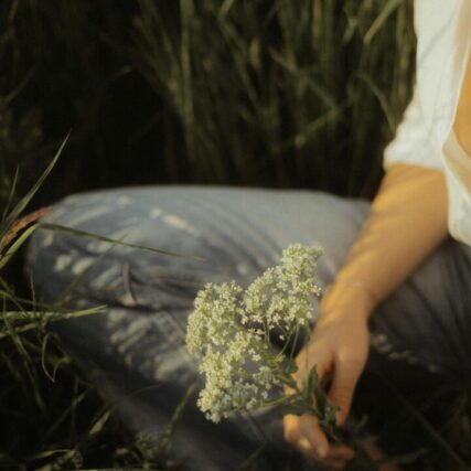 pexels nina fiedler 894772640 24808325