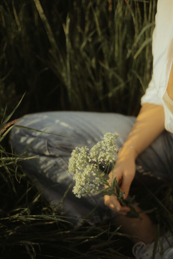 banner-image-desktop