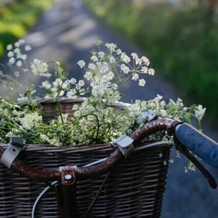 ef9911c23383bbc37537b52b9abea3a9